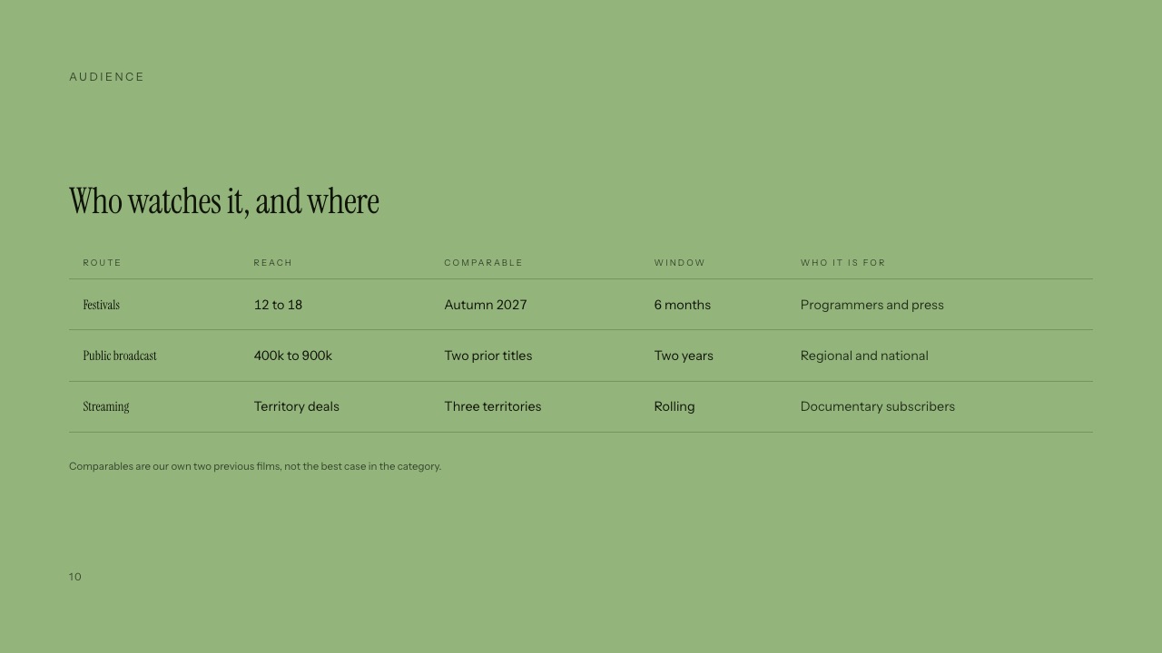 The Audience slide of Framekit's Documentary Funding Pitch template, a three-row table of festivals, public broadcast and streaming with sizes and timing